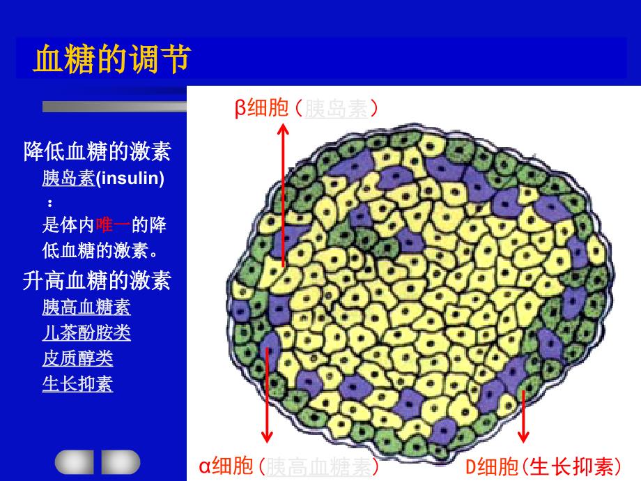 应激性高血糖_第4页