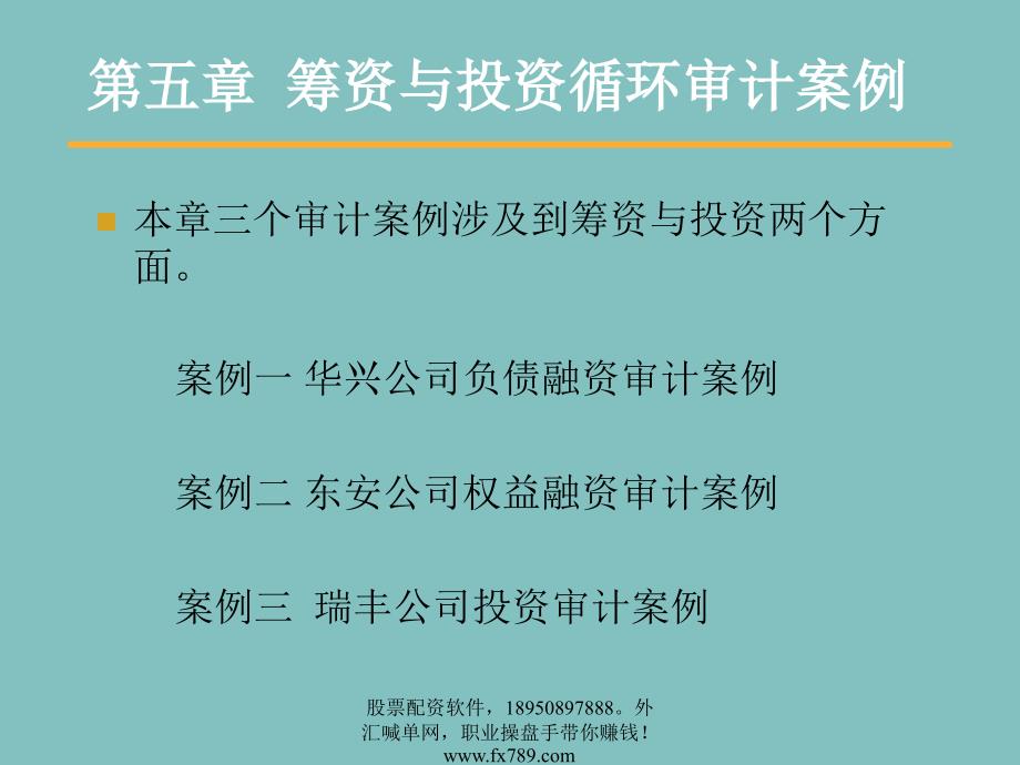 筹资与投资循环审计案例_第1页