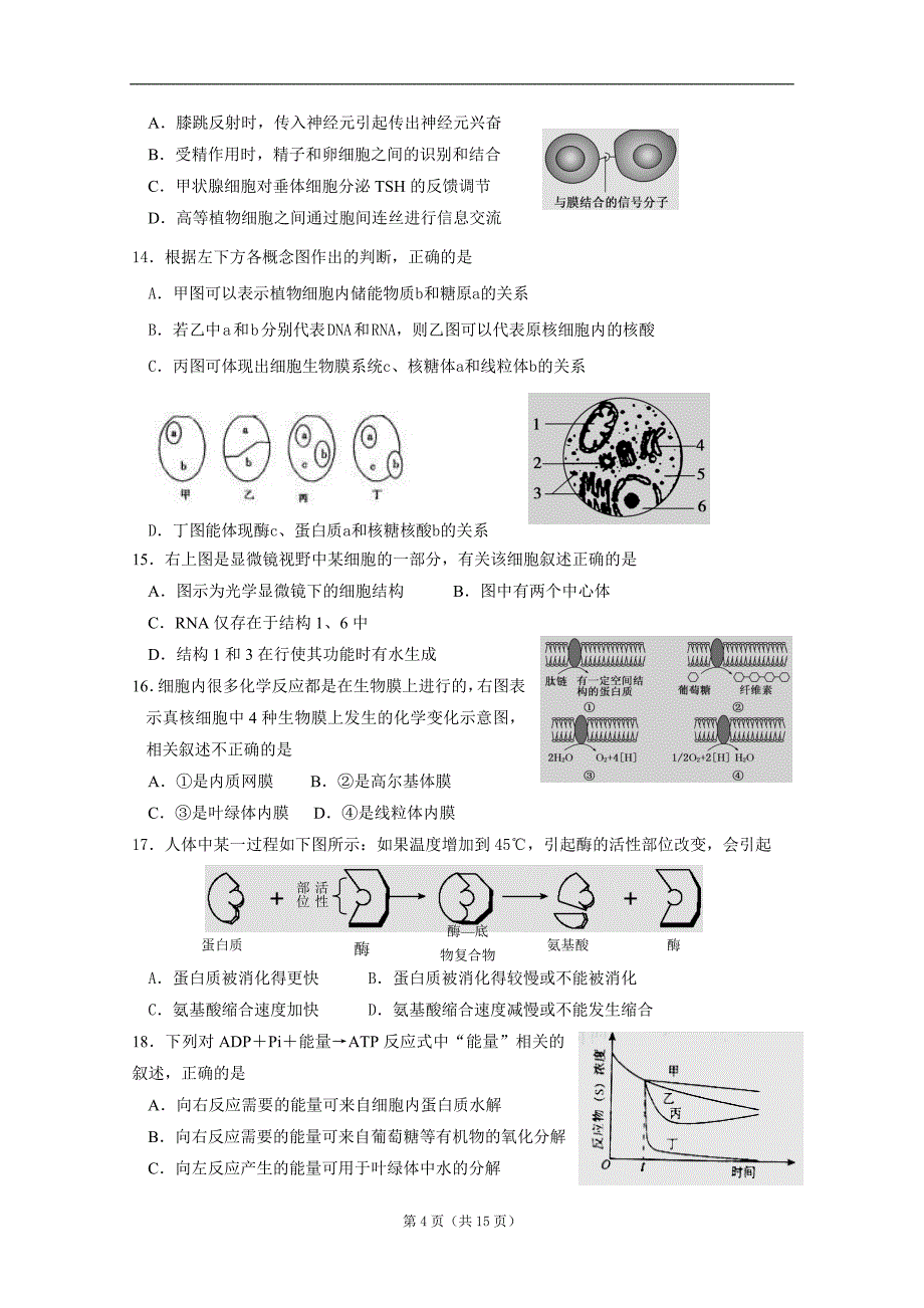 河北省2012-2013学年高二下学期期末生物试题_第4页