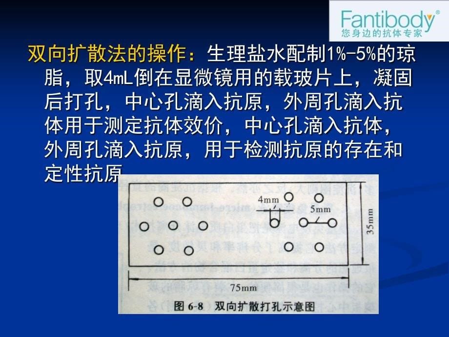 抗原与抗体反应-免疫检测实验原理和方法_第5页