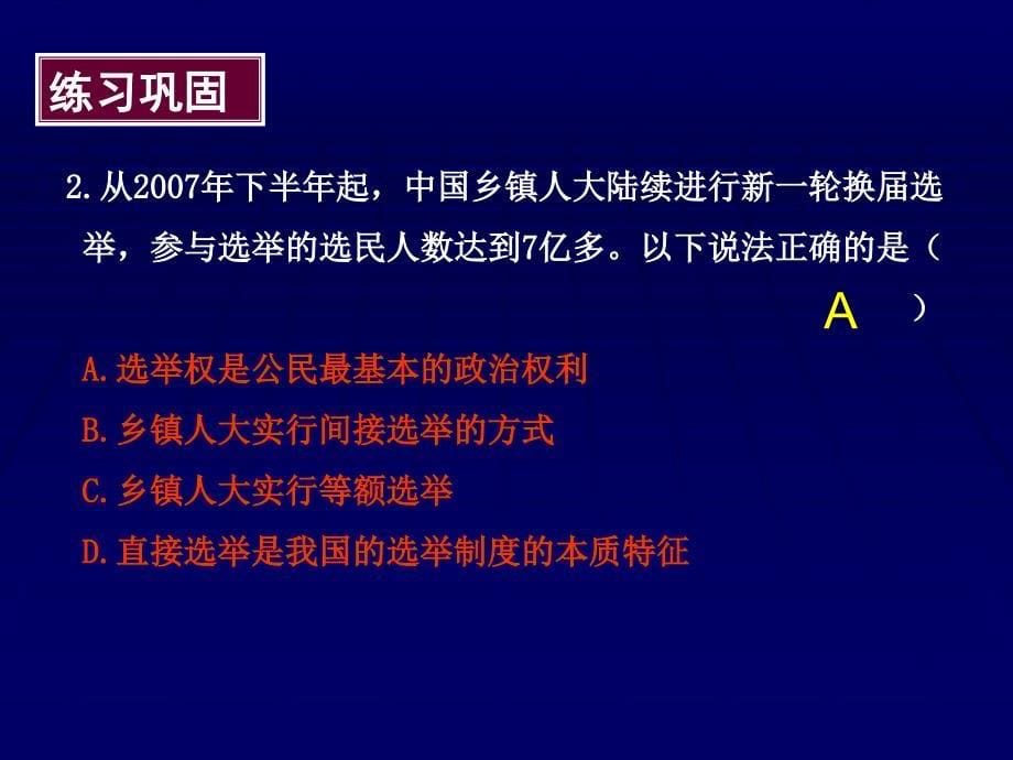 我国公民政治参与的途径和方式_第5页