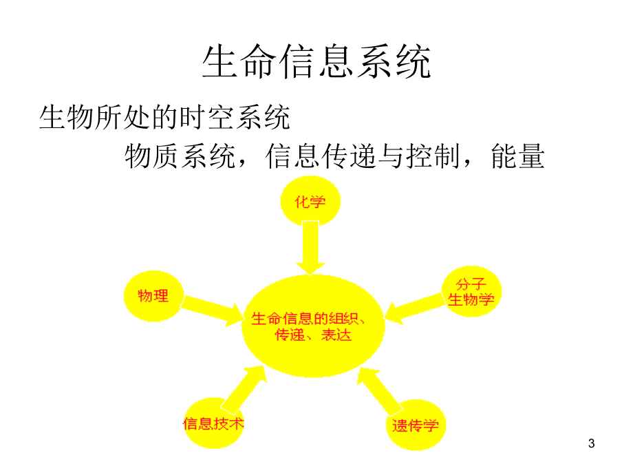 生物信息学的研究内容、方法及意义_第3页