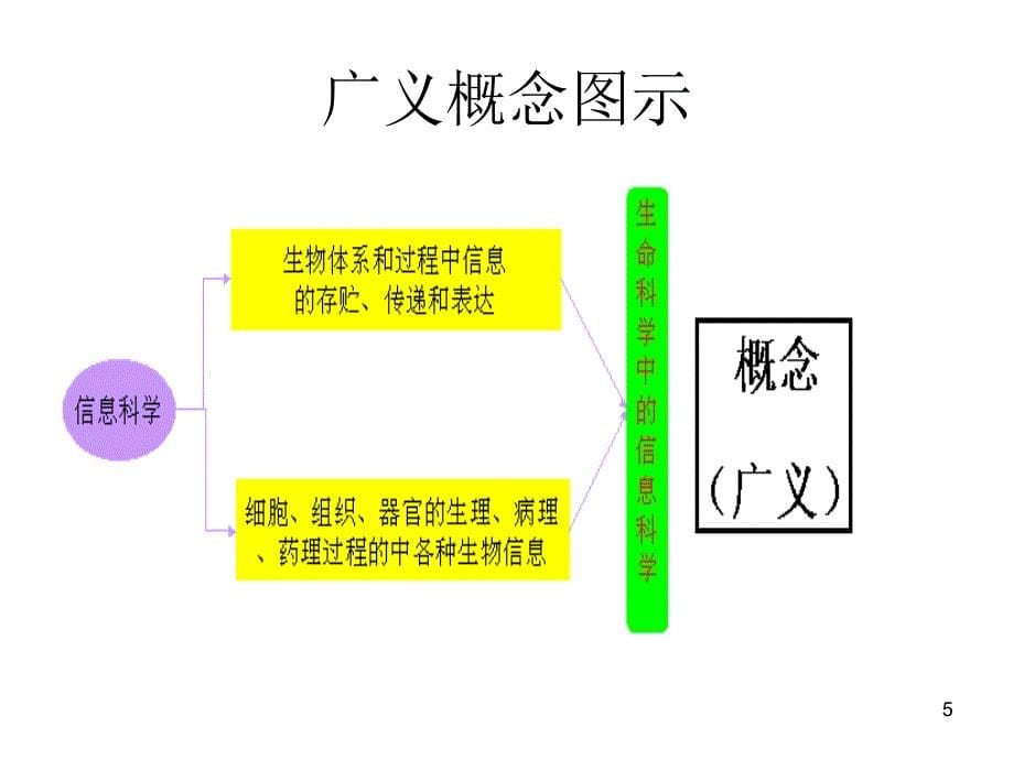 生物信息学的研究内容、方法及意义_第5页