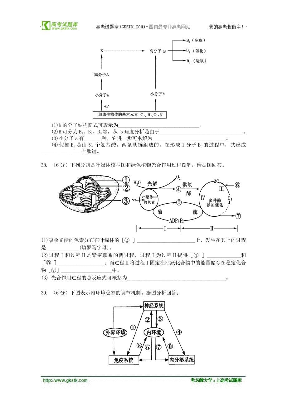 江苏省2012年高二学业水平测试模拟(二)生物_第5页