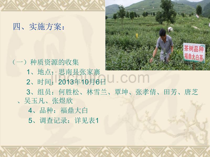 思南县茶树种质资源的收集、保存和利用实施_第4页