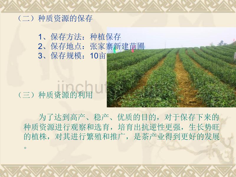 思南县茶树种质资源的收集、保存和利用实施_第5页