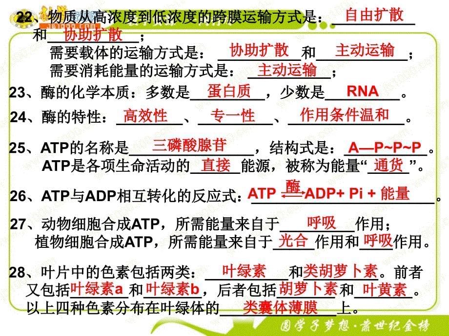 生物：高中生物知识点课件总结(必修部分)_第5页