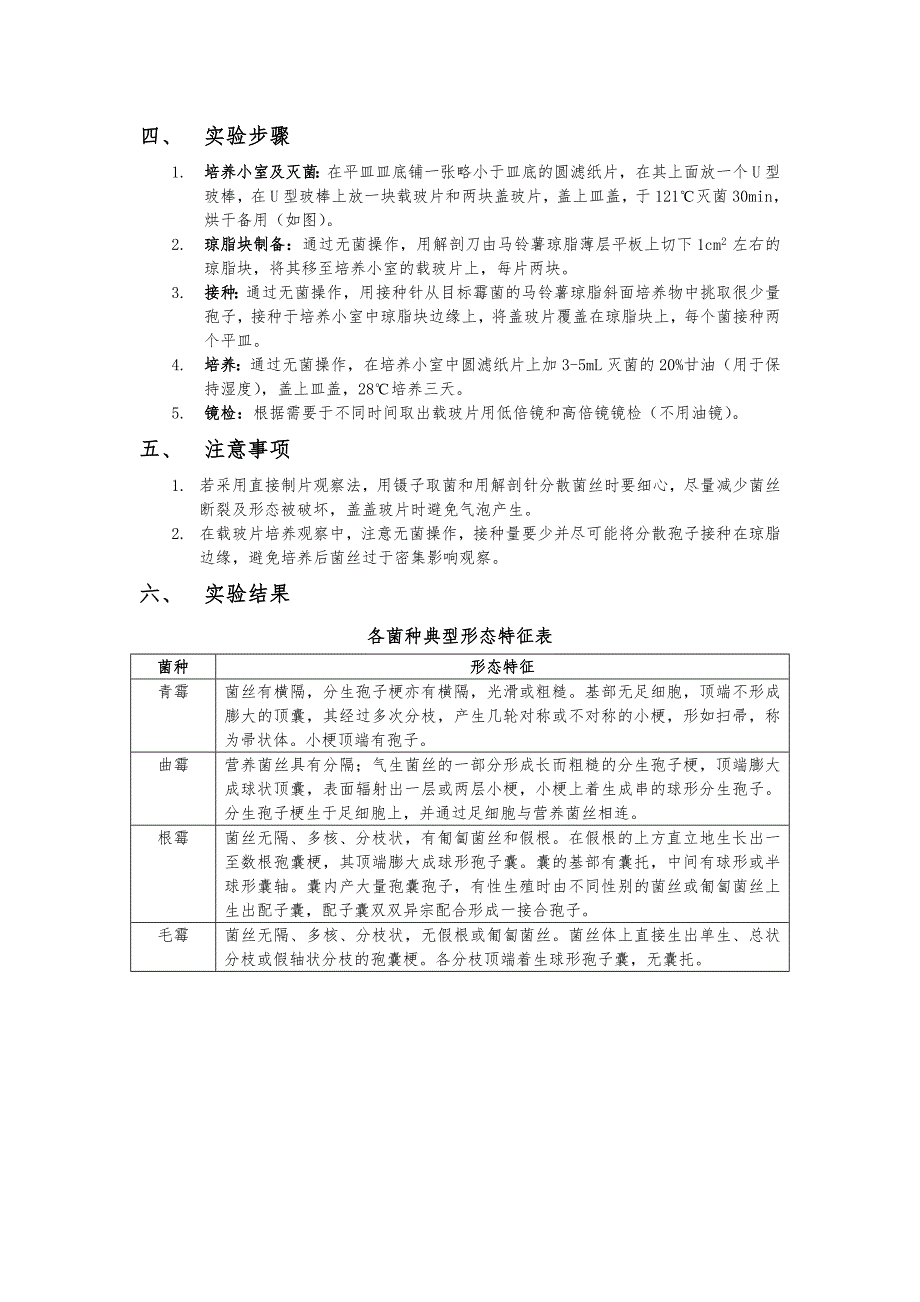 微生物学实验六 霉菌的形态观察_第2页