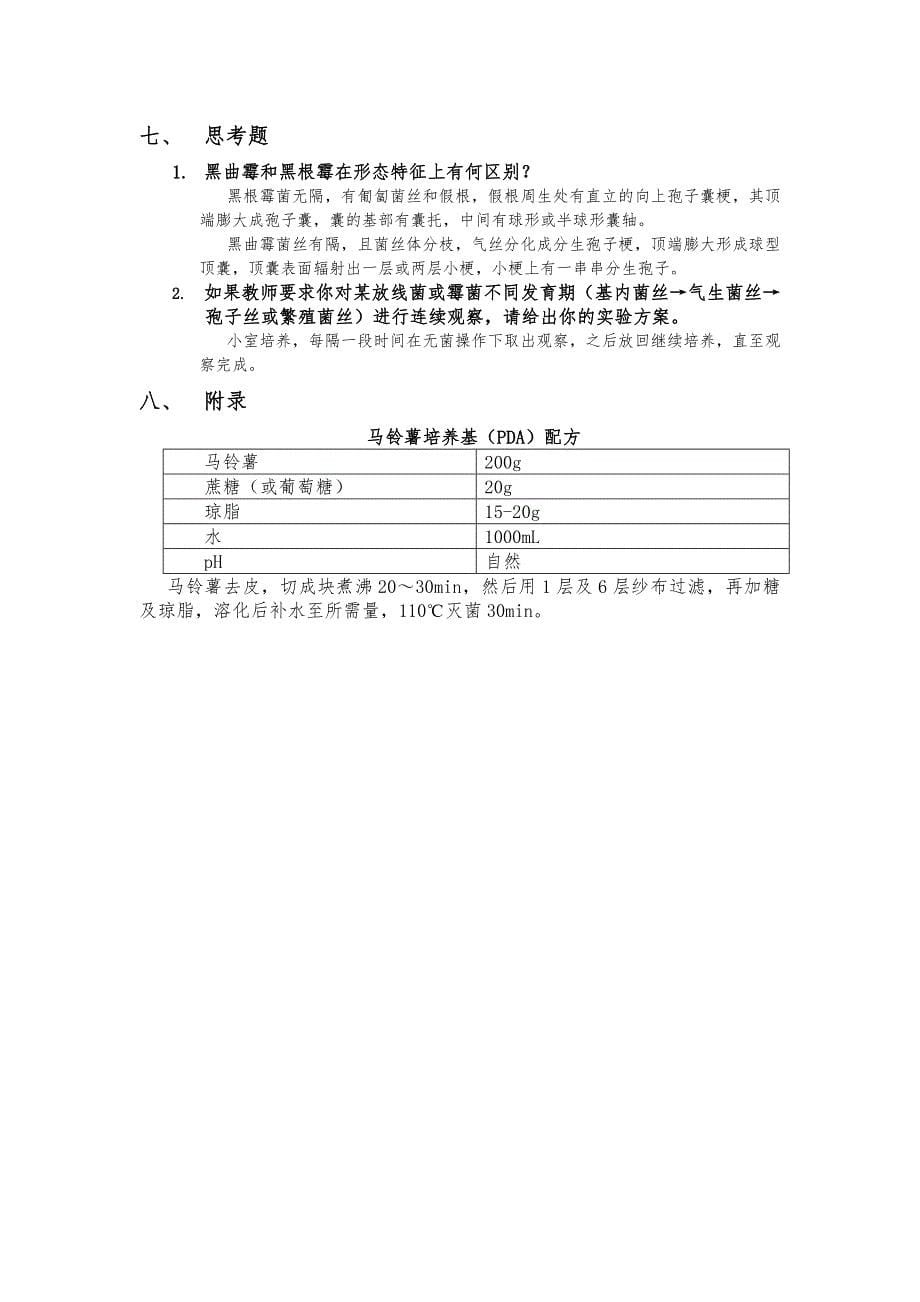 微生物学实验六 霉菌的形态观察_第5页