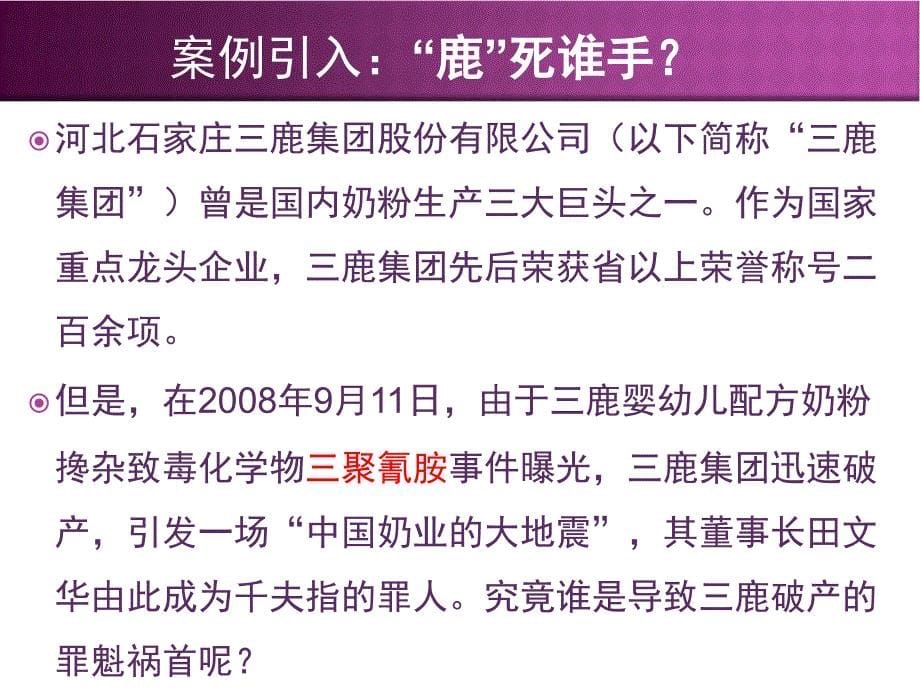 第二章内部控制的基本理论_第5页