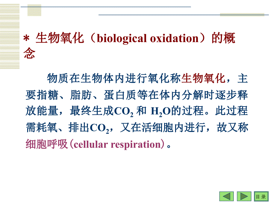 生物能学原理及生物氧化_第2页