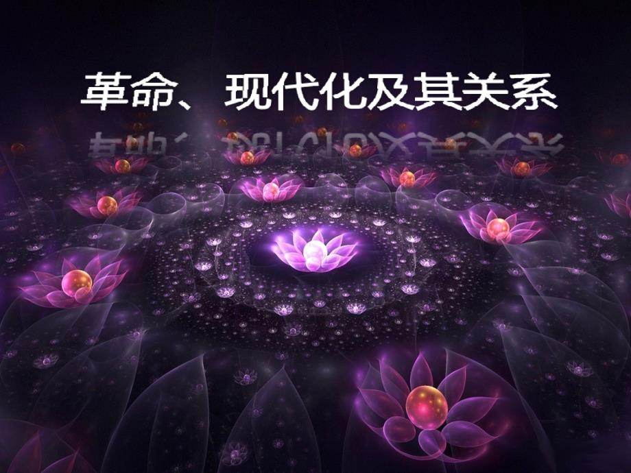 革命现代化及其关系_第1页