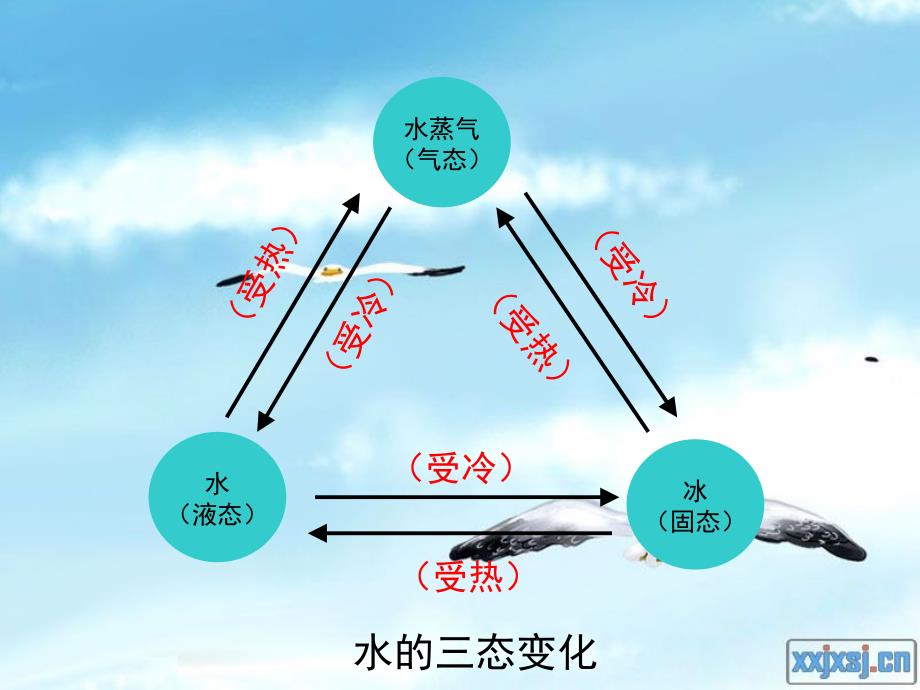 青岛版科学五年级上册2水的三态变化_第3页