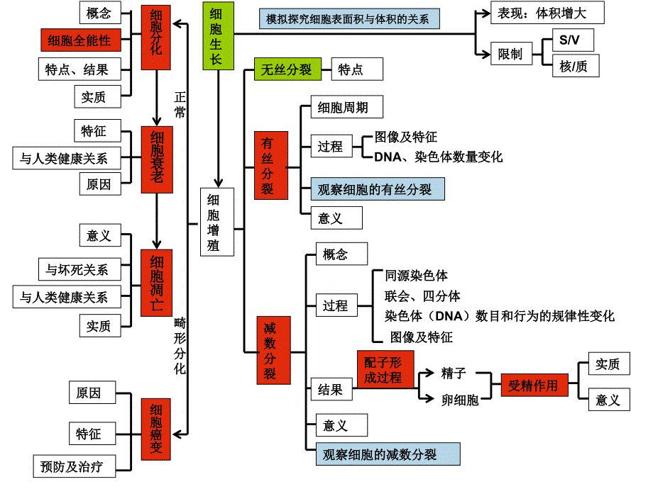 高中生物会考细胞的生命周期d_第1页