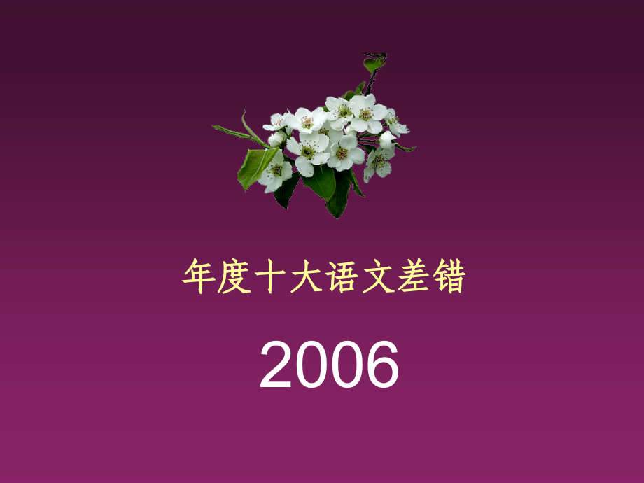 年度十大语文差错(2006-2012)_第2页