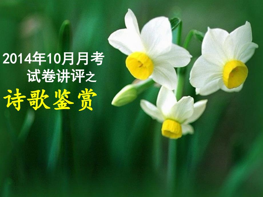 黄庭坚水仙花诗歌鉴赏题_第1页