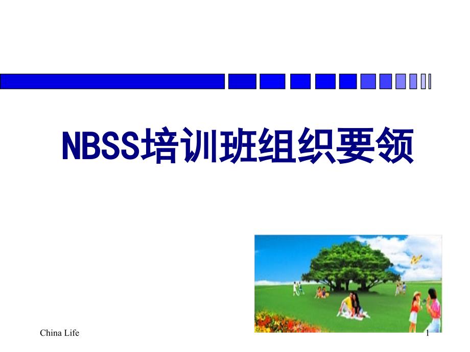 NBSS培训班组织要领30页_第1页