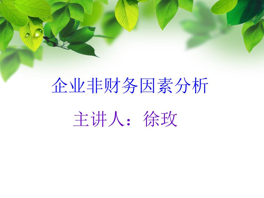 非财务因素分析徐玫_第1页