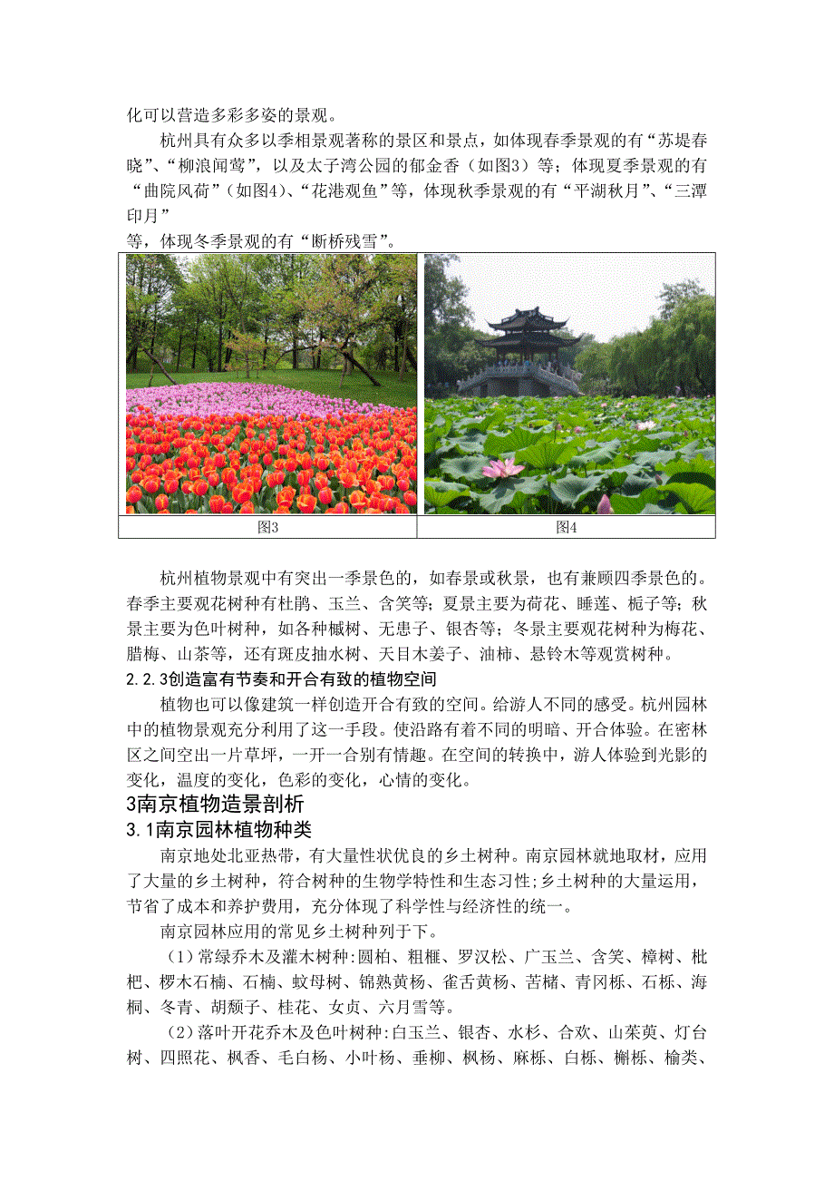 杭州南京植物造景比较 (2)_第3页