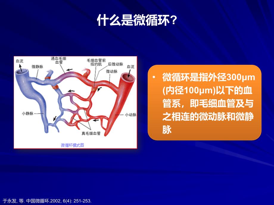 侧支循环不同于微循环_第2页