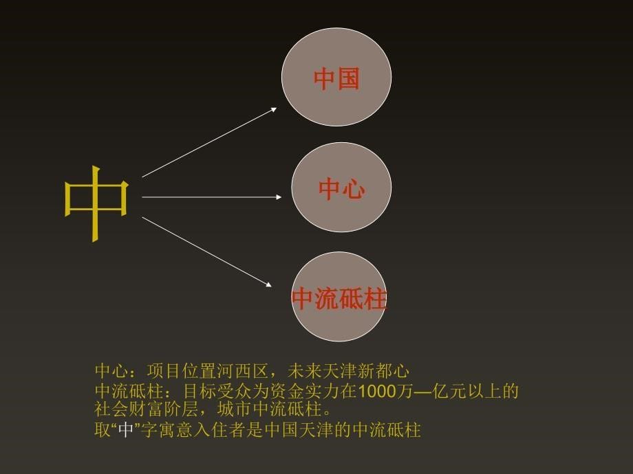 中天别墅项目案名提案_第5页