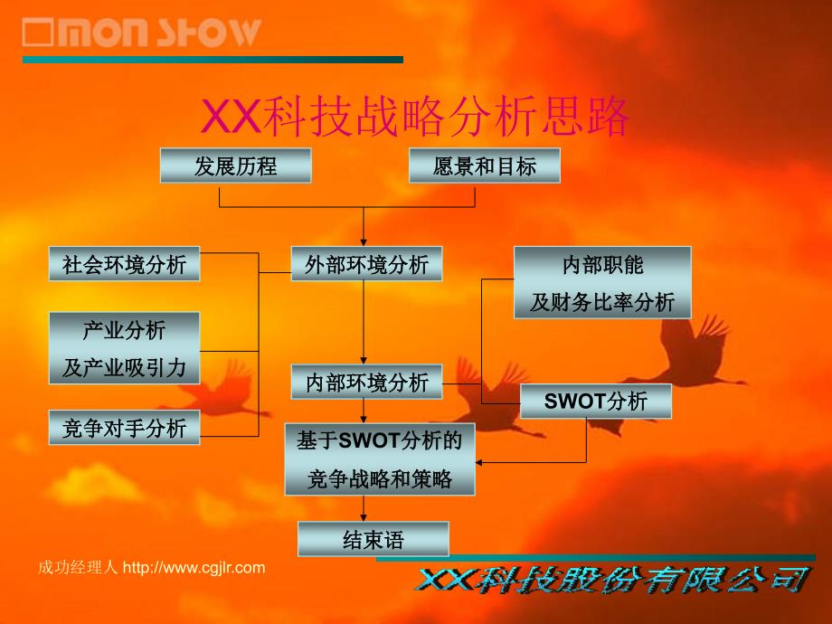 数源科技之竞争战略和策略_第2页