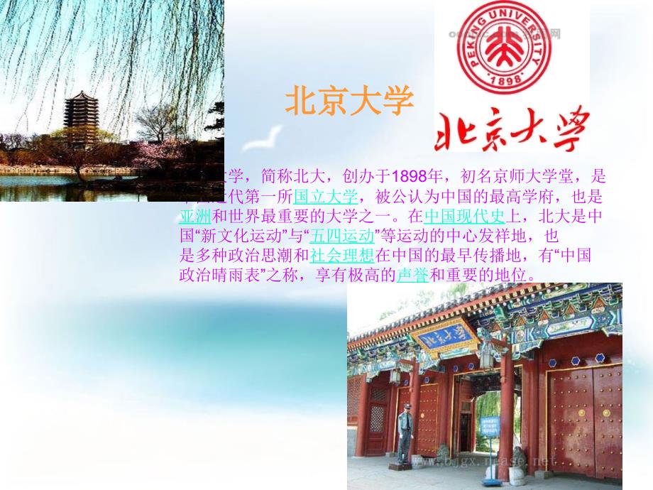 中国十大大学(丁文昊1006431043)_第4页