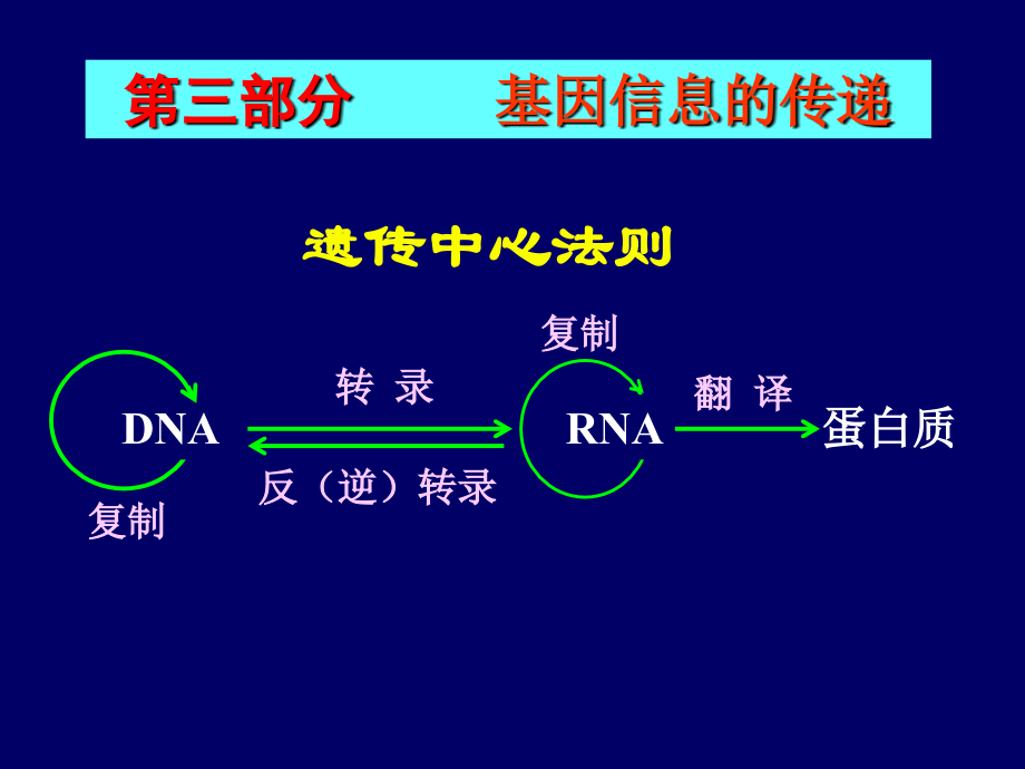 研究生入学考辅导(西医综合)_第1页