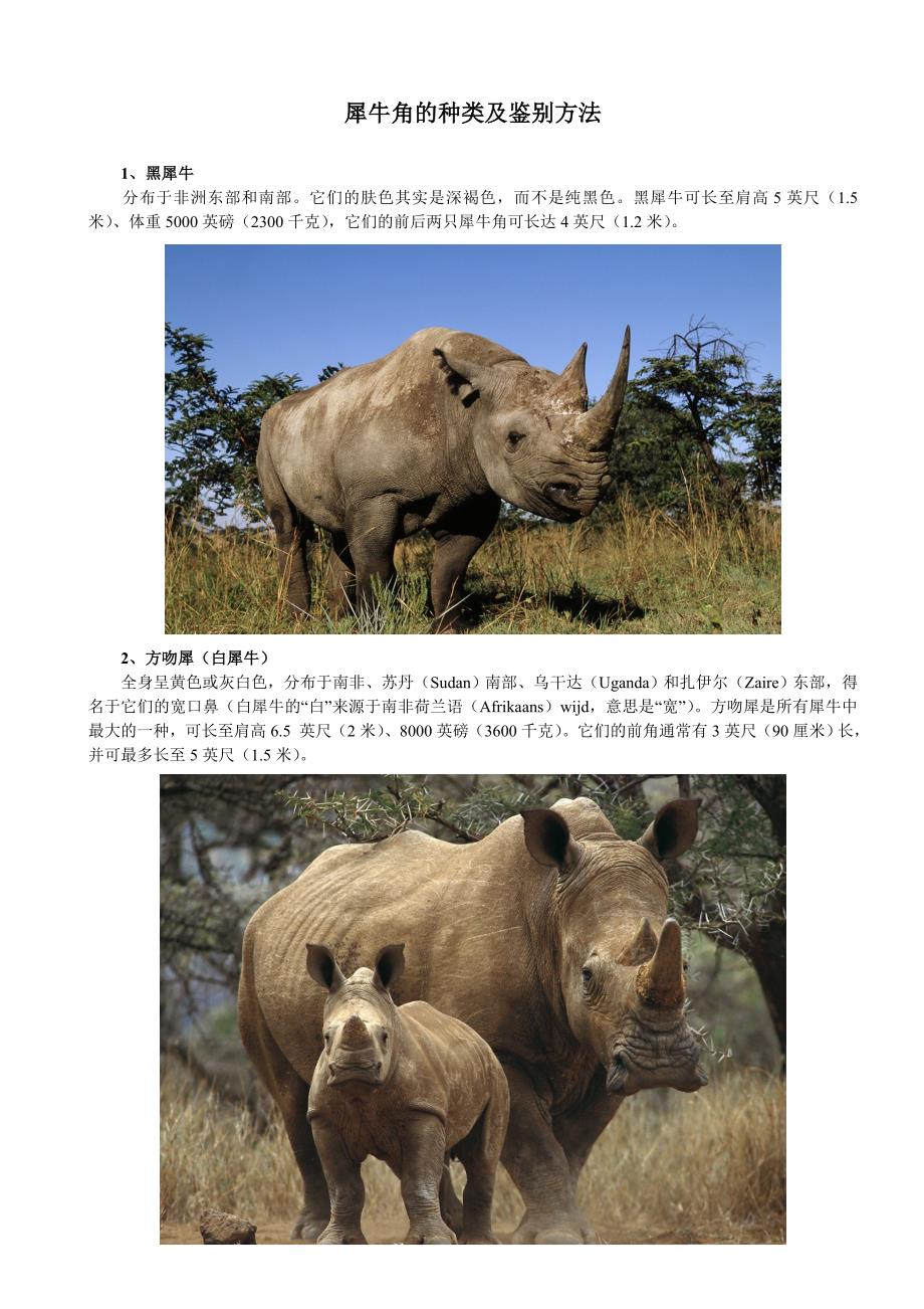 犀牛角的种类及鉴别方法_第1页