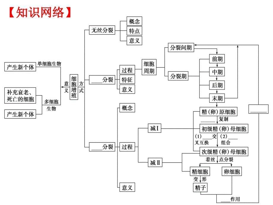 湖北省高三生物二轮复习精品课件3专题三细胞的生命历程_第5页