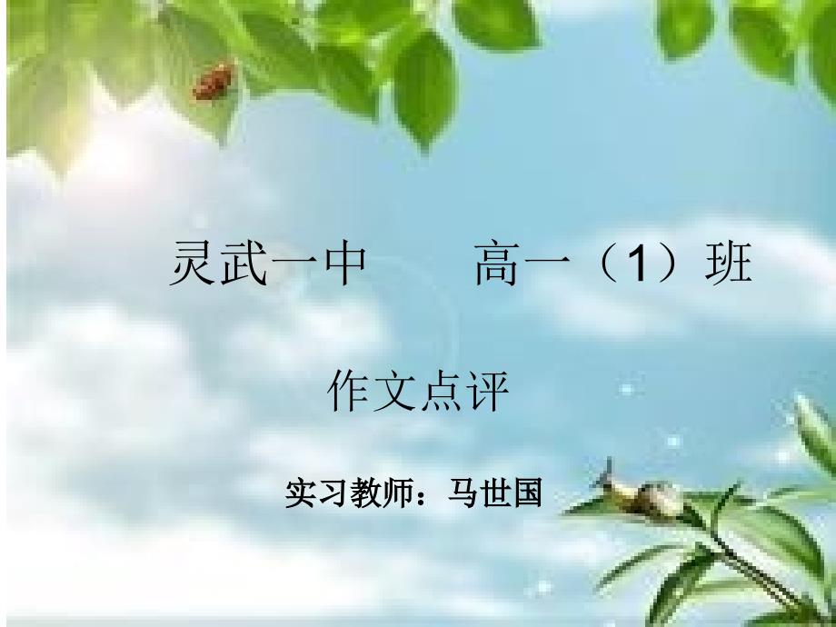 灵武一中高一(1)班作文点评_第1页