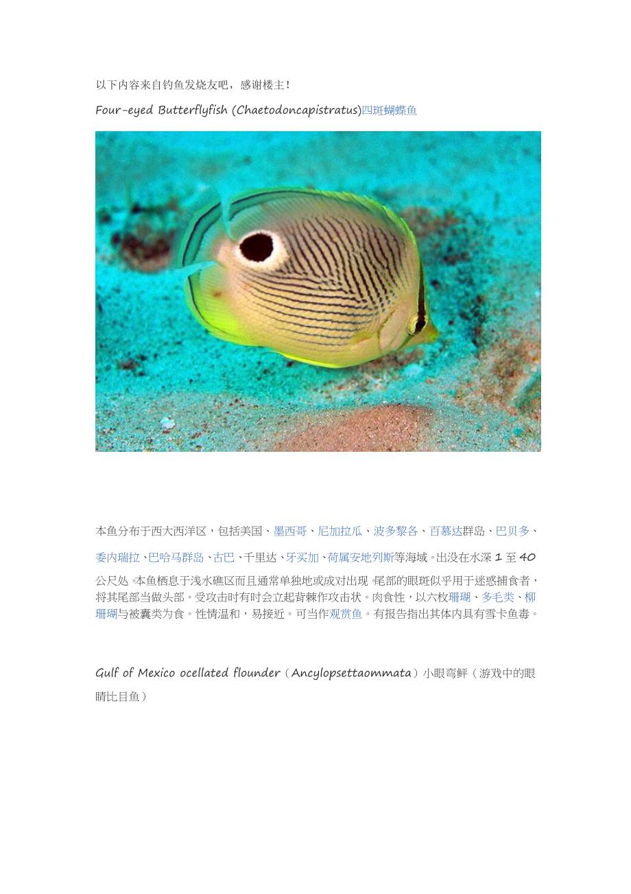 钓鱼时代手游鱼类图鉴原型考据_第1页