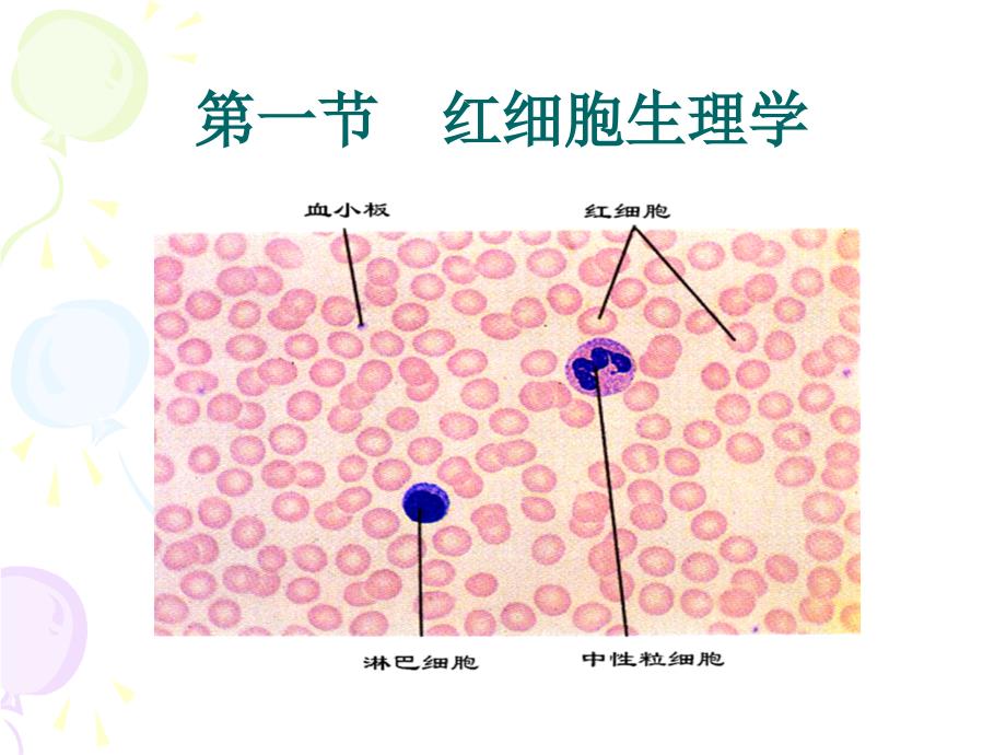 细胞性再生障碍性贫血_第4页