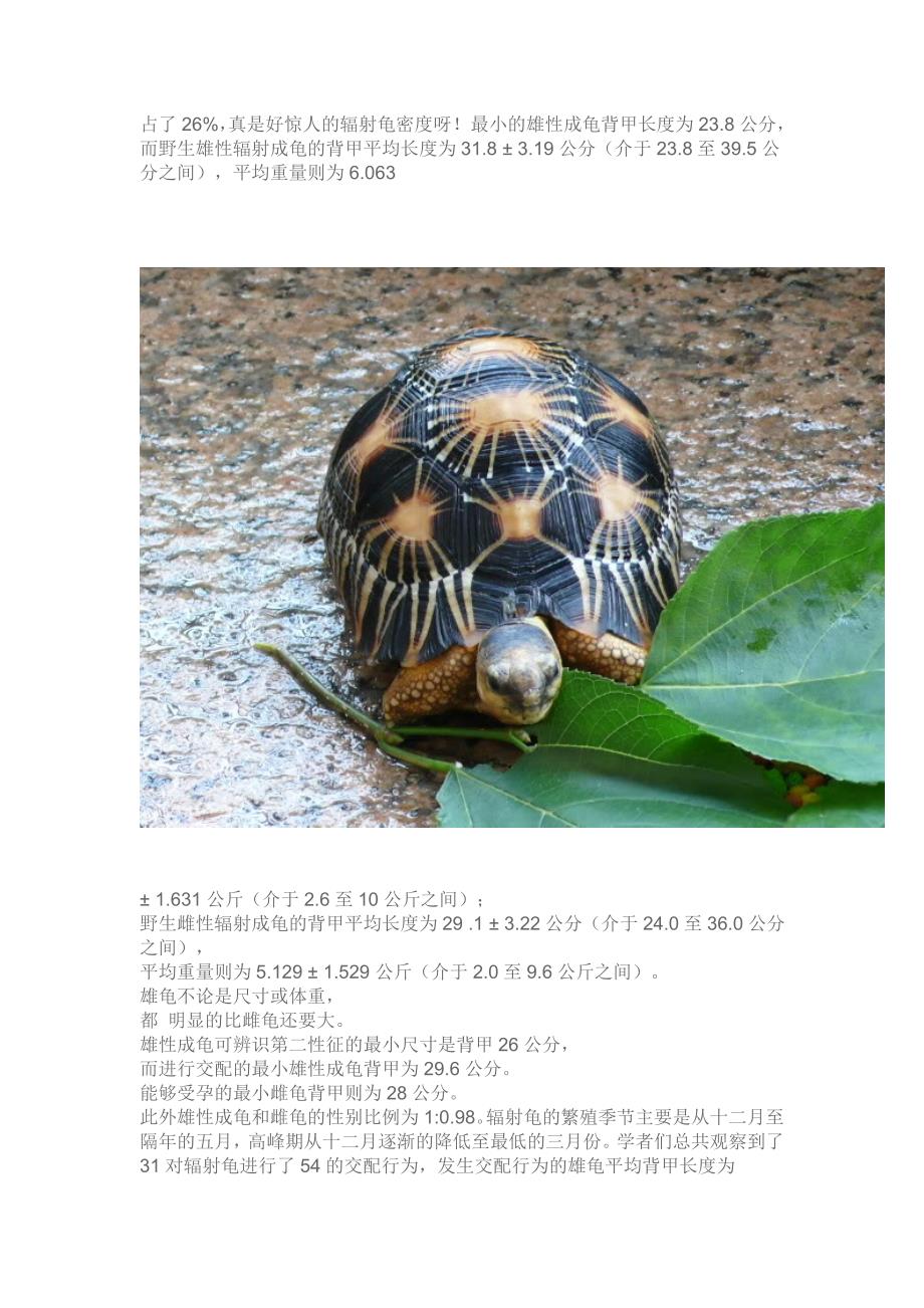 野生辐射龟的繁殖和产卵研究_第2页