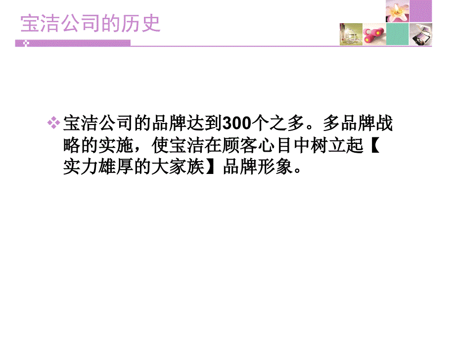 潘婷分销渠道作业_第3页