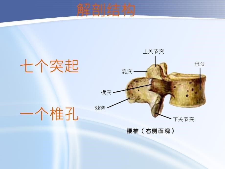 腰椎骨折护理查房_第5页