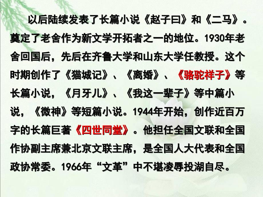 人教新课标六年级语文下册《北京的春节3》课件_第5页