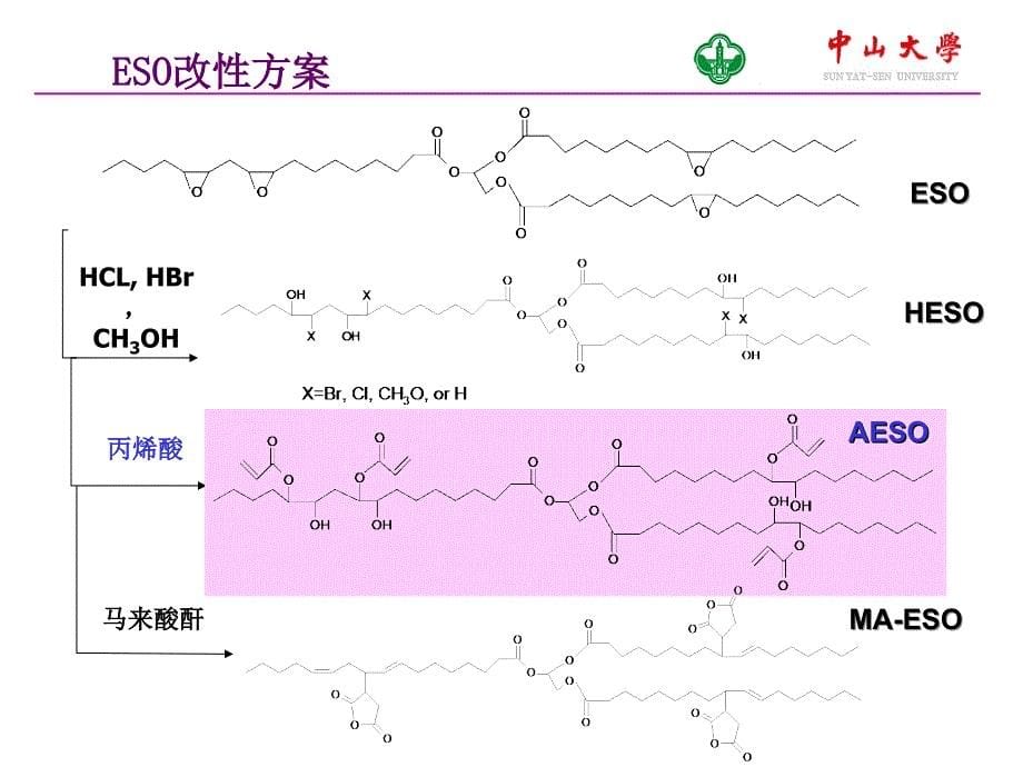 中山大学第五届创新基金答辩论文_第5页