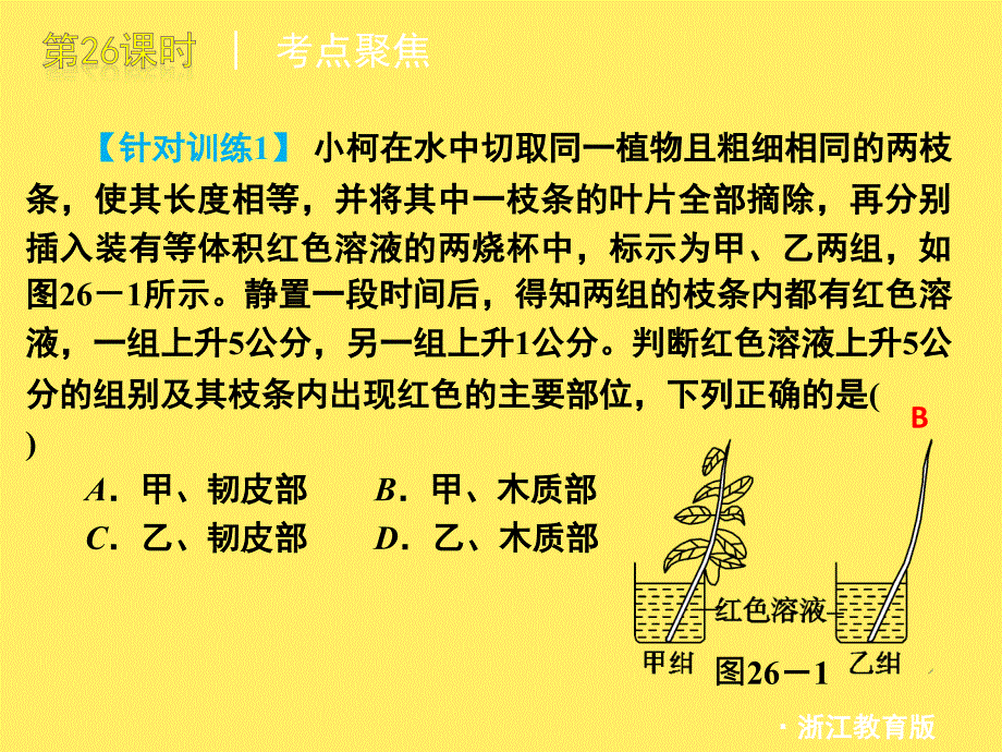 浙江省绍兴市中考科学一轮复习《无机盐和水对植物的作用》课件浙教版_第4页