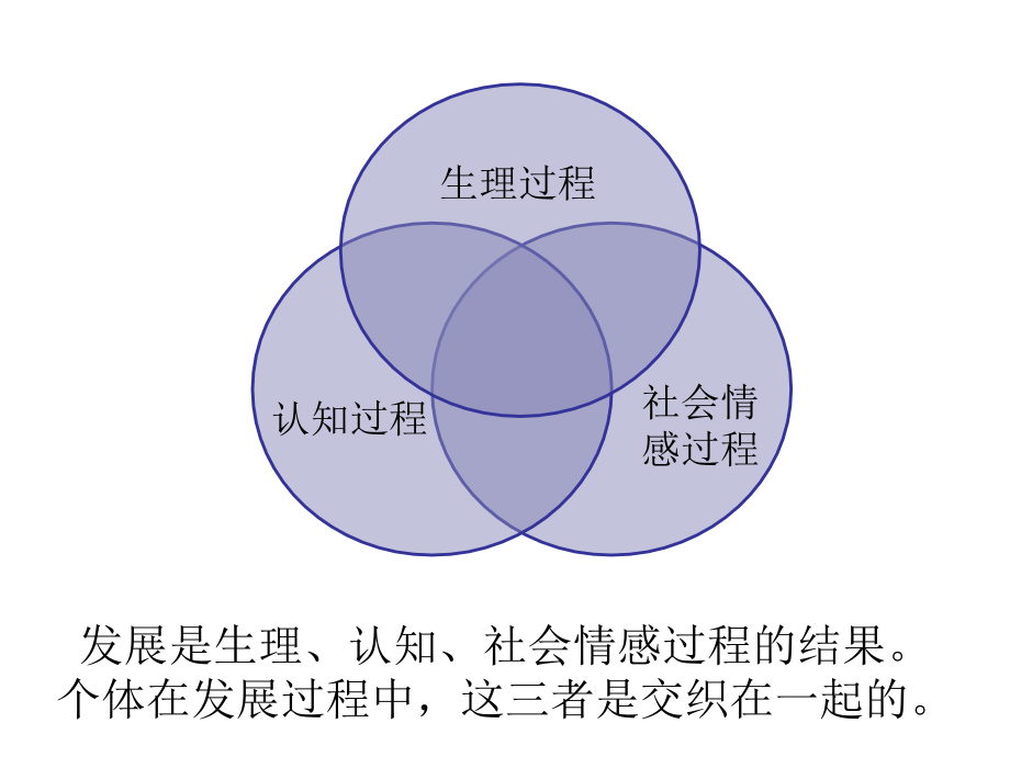 普通心理学(人的发展)复习_第4页