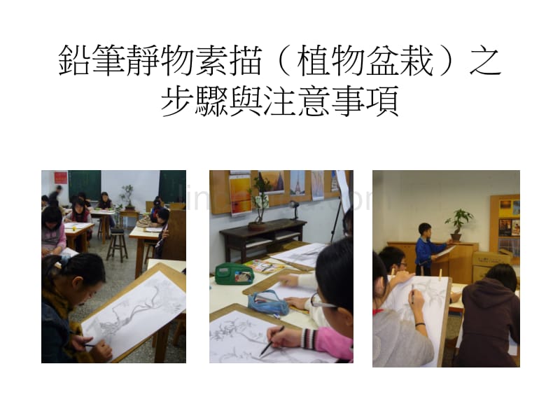 铅笔静物素描(植物盆栽)之步骤与注意事项_第1页