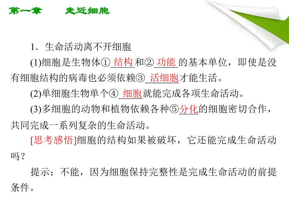 人教版教学课件2012高考生物总复习课件1《走近细胞》知识研习(新人教版必修1)(共25张)_第4页