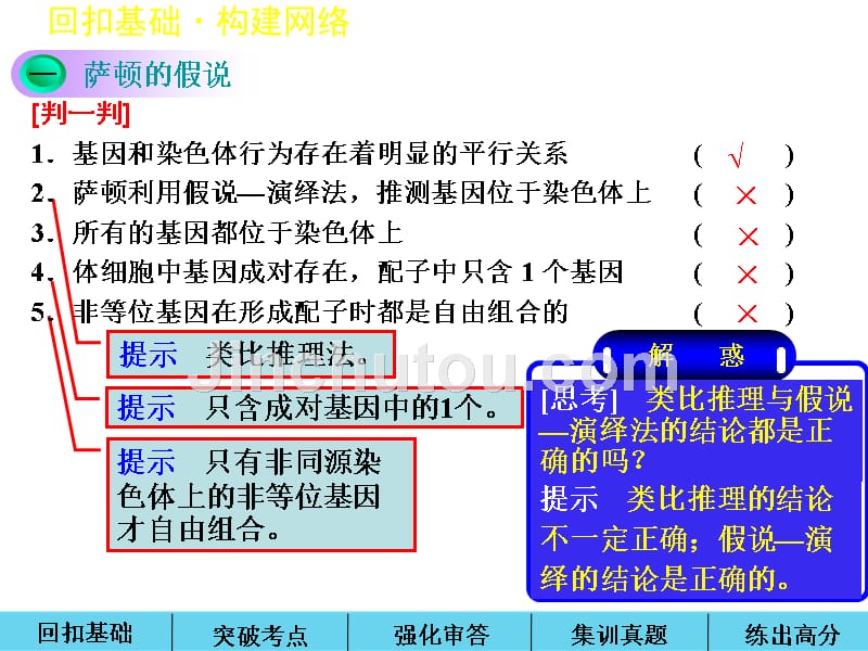 基因在染色体上伴性遗传_第2页