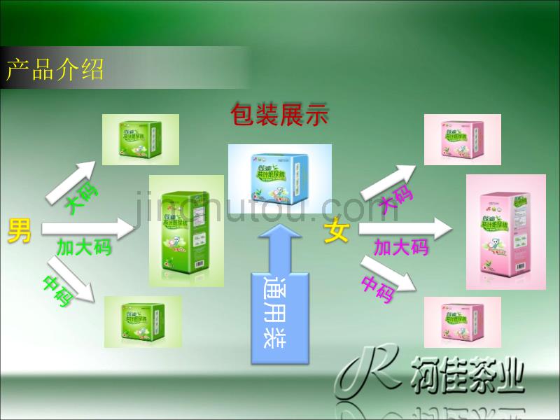 丽兴2012年新年快乐模板004_第3页