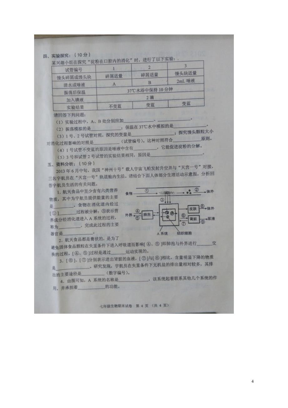 广东省佛山市顺德区2015-2016学年七年级生物下学期期末考试试题（扫描版） 新人教版_第4页