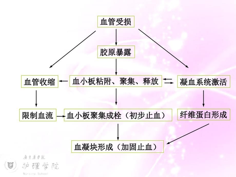 出血性疾病病人的护理_第5页