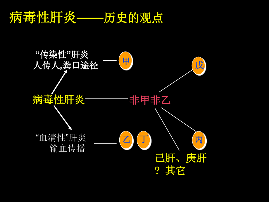 病毒性肝炎(viralhepatitis)_第4页