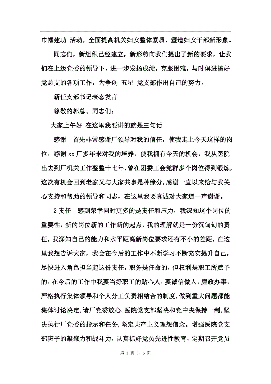 新任支部表态发言_第3页