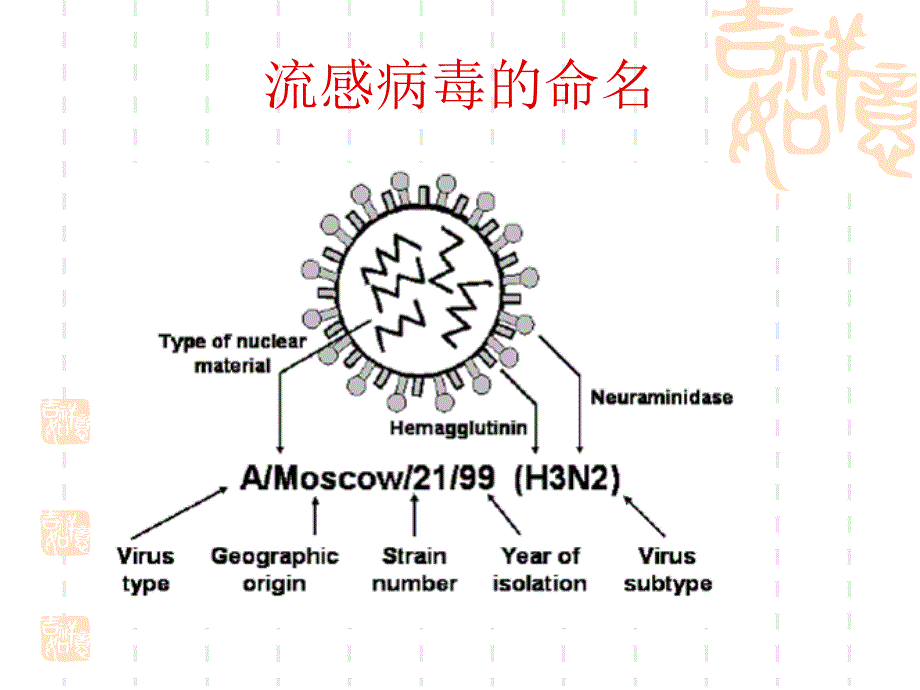 禽流感哈兽研倾情相送_第2页