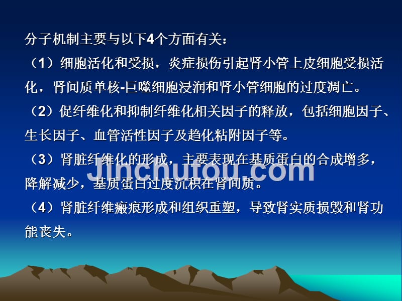 肾间质纤维化与中西药抗纤维化治疗_第4页